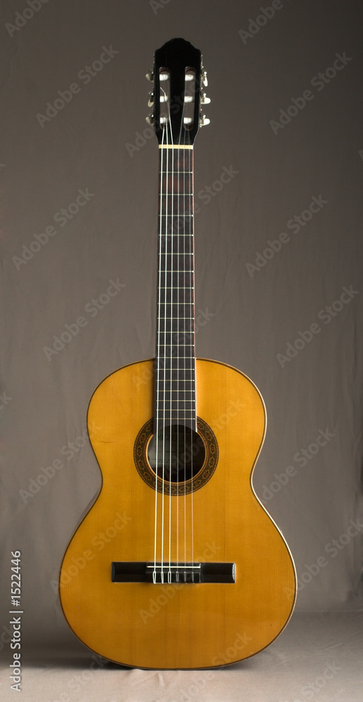 Naklejka premium guitar