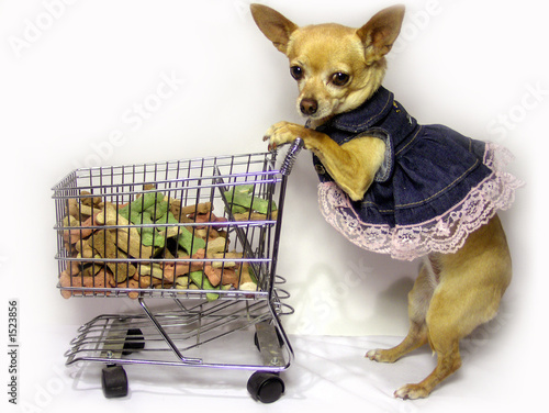 shopping