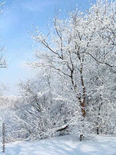 russian winter