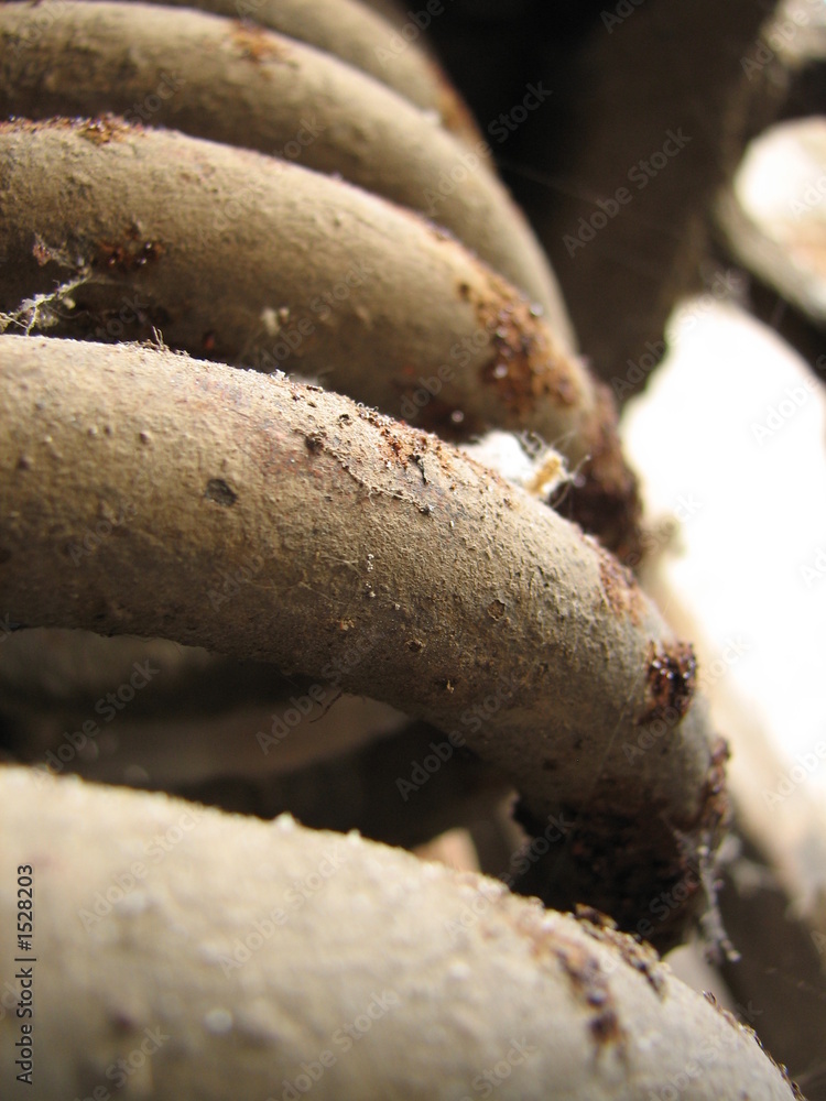Fototapeta premium rusty coil