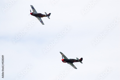 p40 kittyhawk & ca-18 warbirds photo