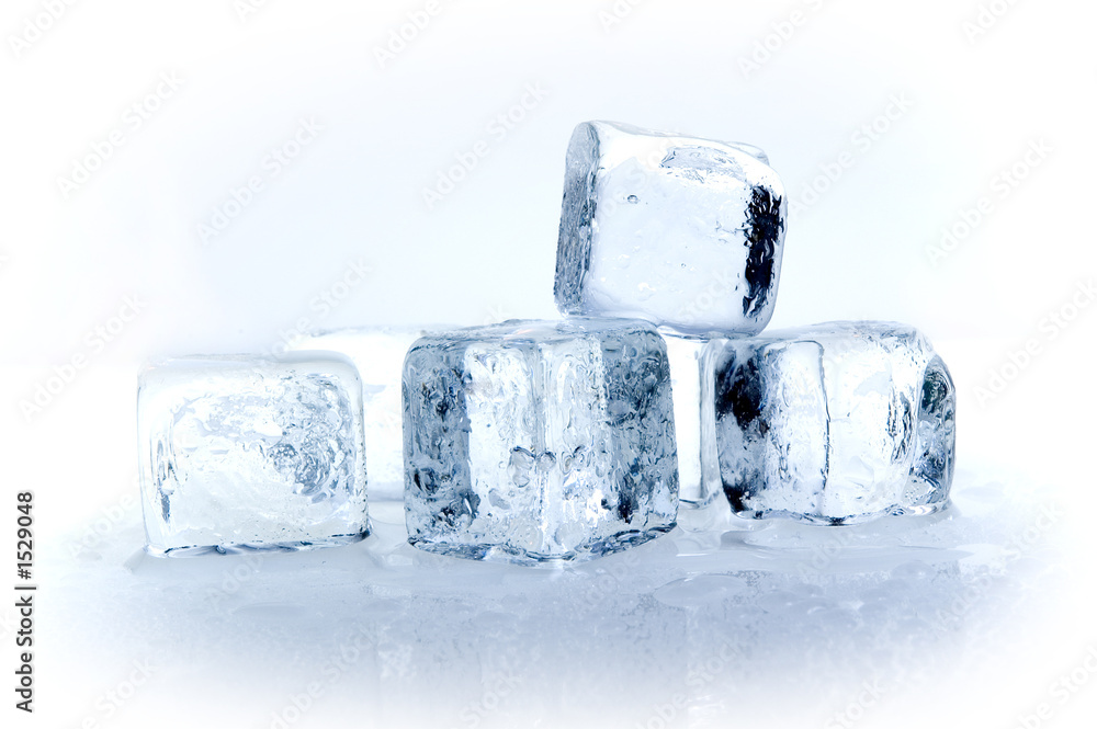 ice cubes ice cubes