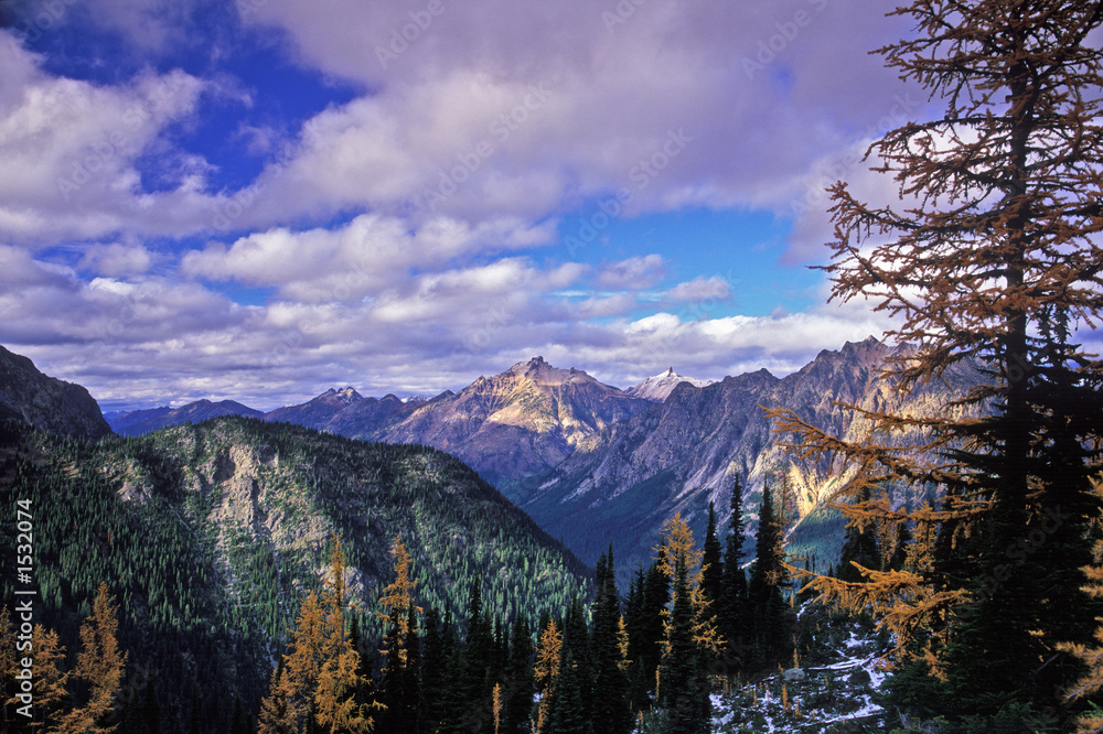 Obraz premium larch in the north cascades
