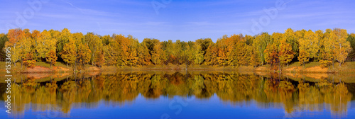 yellow on blue