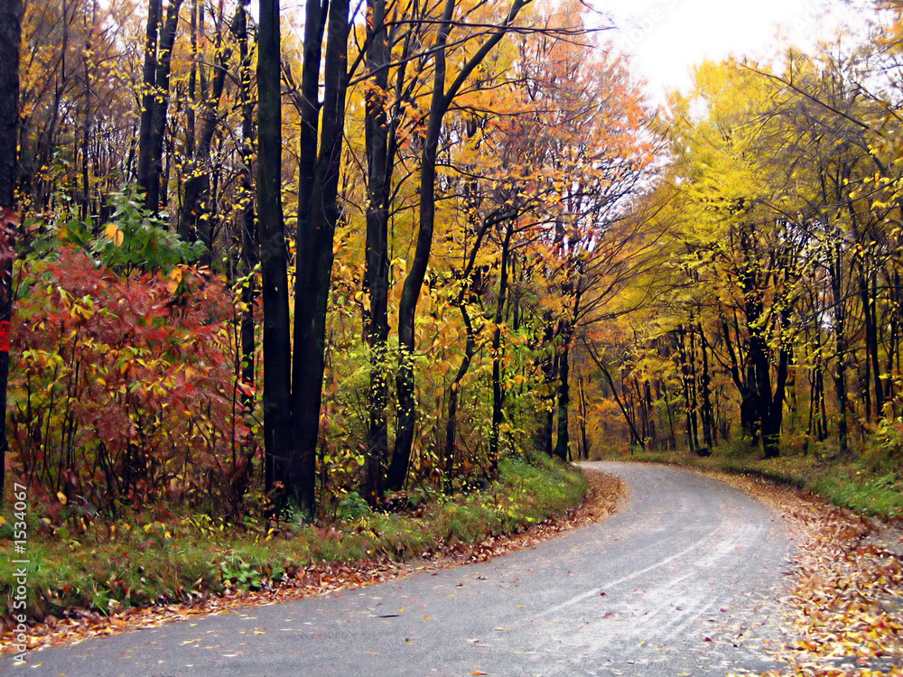 Fototapeta premium changing colors