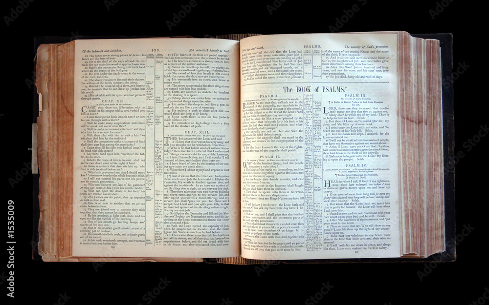 Obraz premium bible1