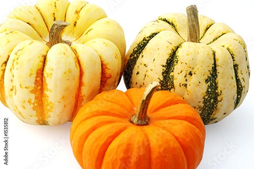 squash and pumpkin