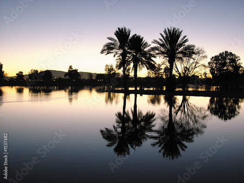 silverbell lake photo