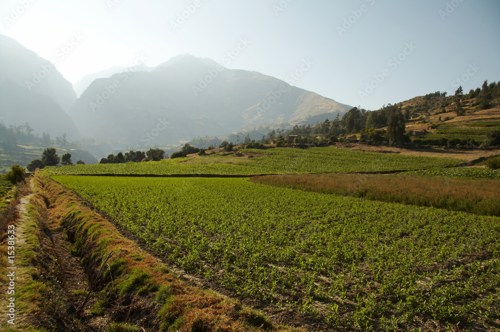 peruvian rural landscape