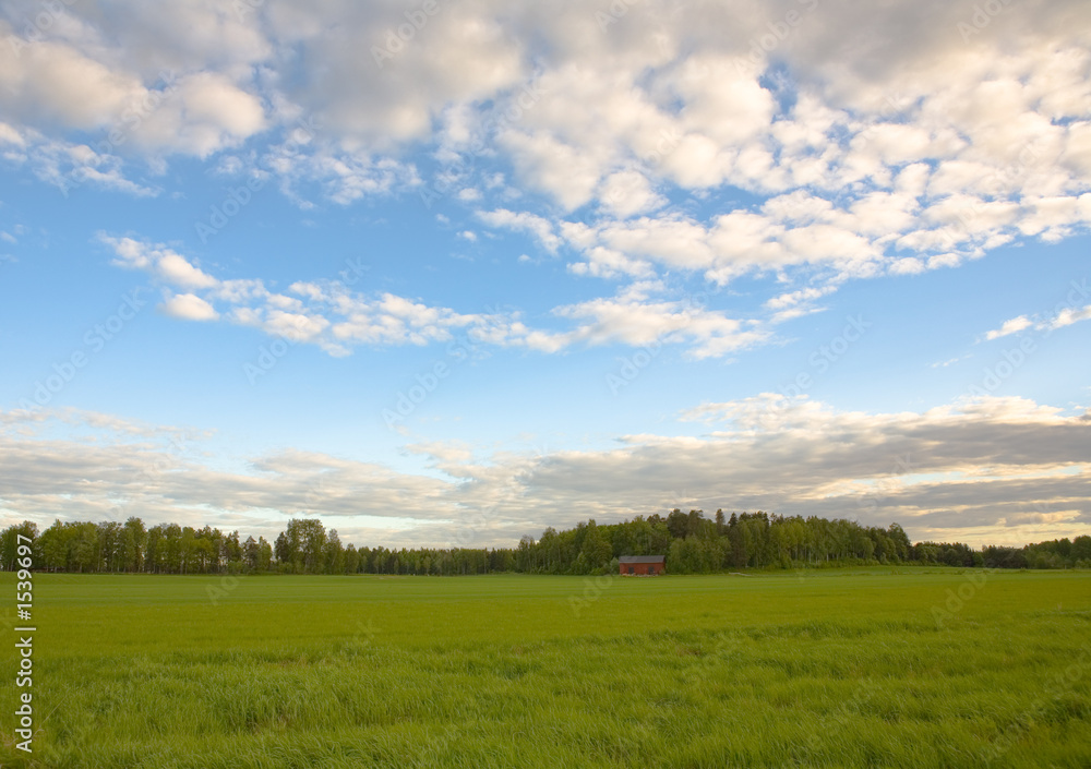 rural landscape