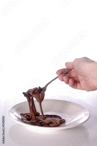 worms 10