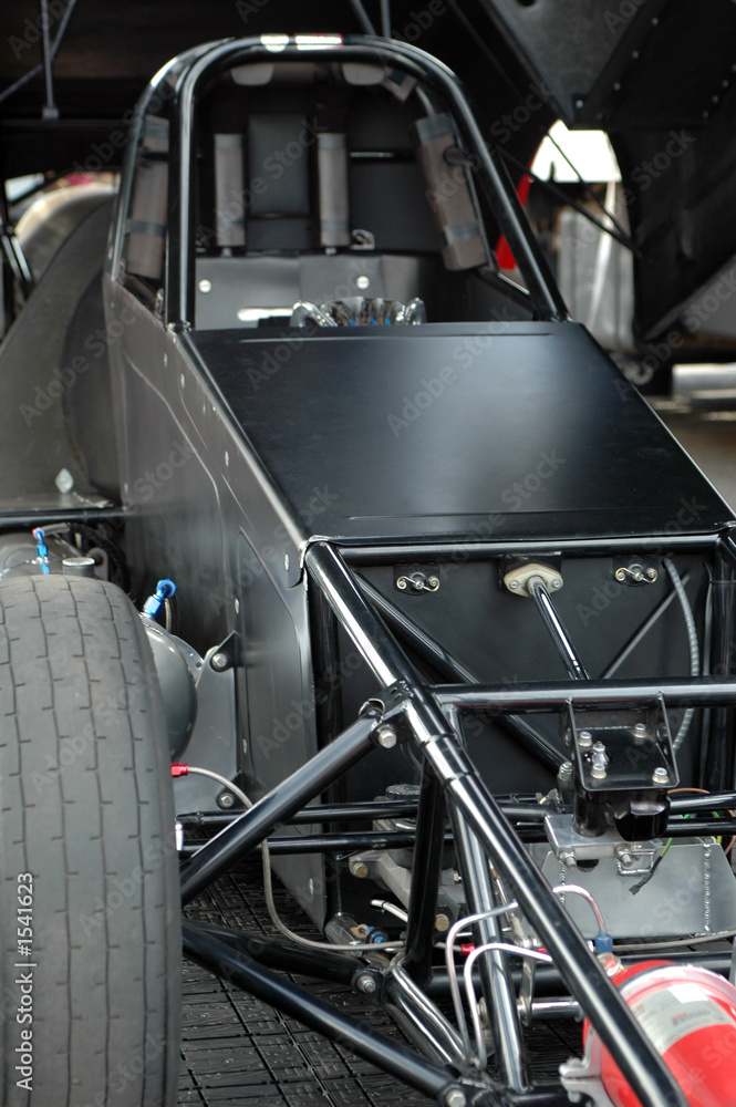 Fototapeta premium buggy