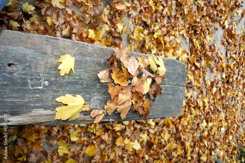 autumn landscape photo