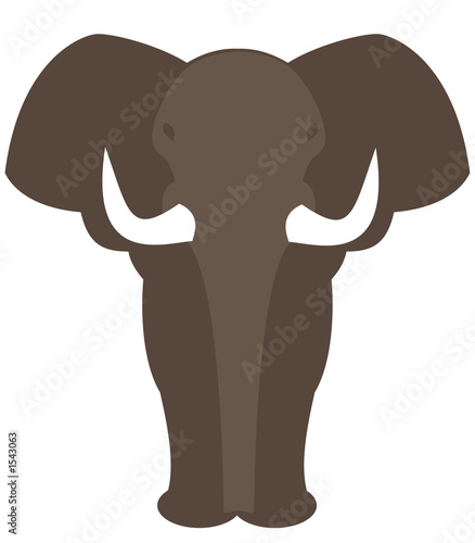 éléphant photo