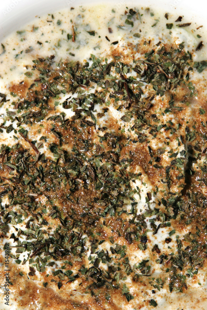 yogurt dip yogurt dip