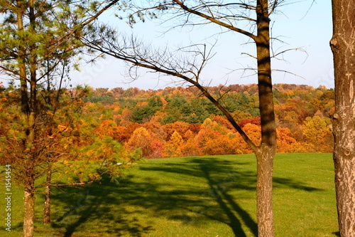 the hills are alive with color