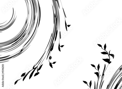 hintergrund - blume - natur