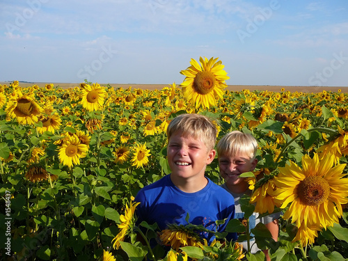children in sunflowers