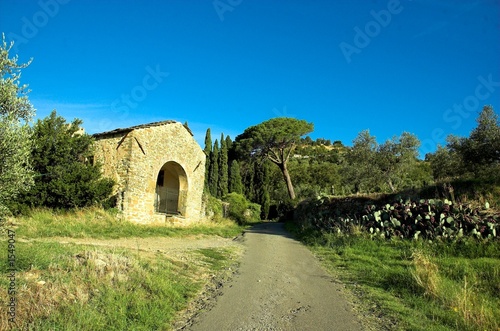 strada di campagna a cortona