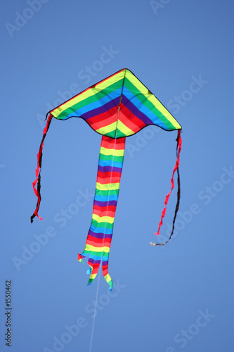 traditional kite