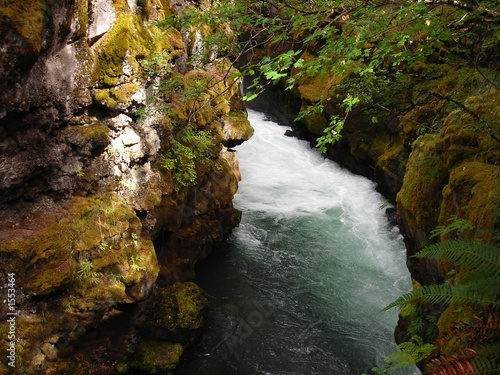 rogue river photo