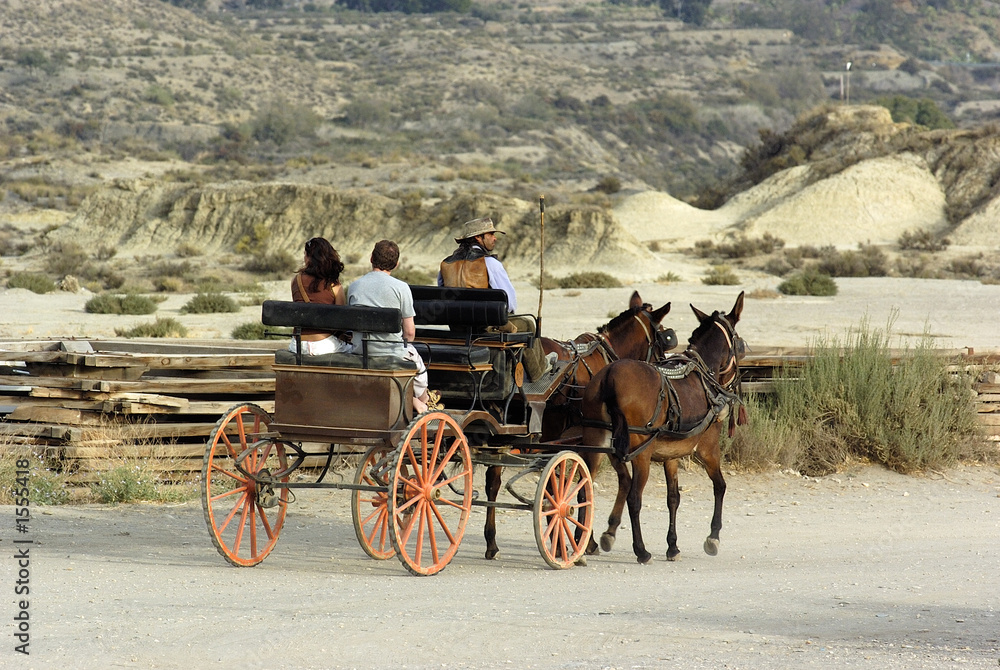 Fototapeta premium calèche