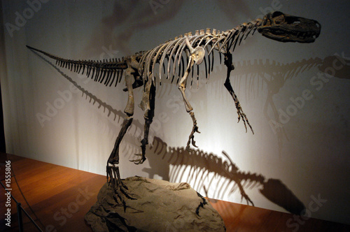 dinosaurios-06