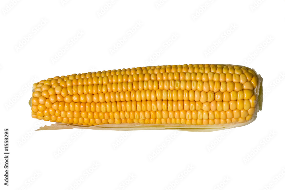 corn ear corn ear