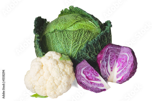 cabbage varieties
