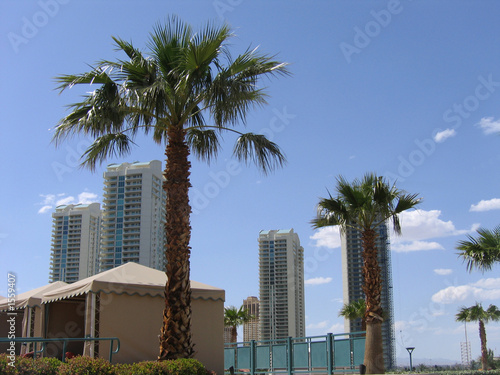 Canvas Print high-rises and palm trees