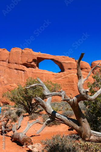 arches national park