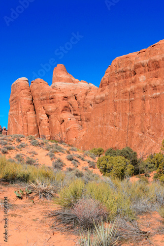 arches national park