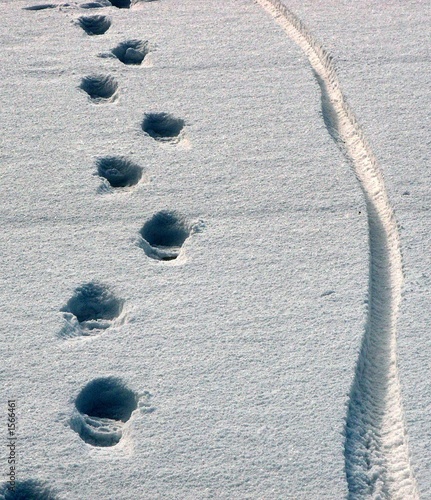 geschichten im schnee