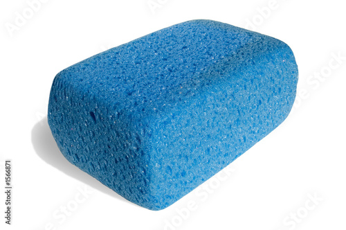 sponge for cleaning