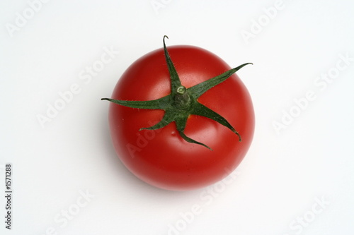 isolated tomato against a withe background