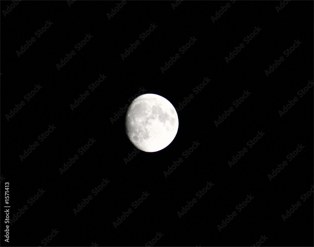 Obraz premium the moon