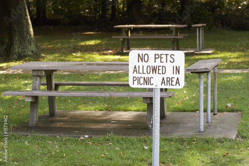sign: no pets allowed in picnic area - landscape f