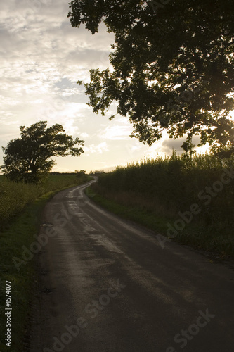 country lane meandering into distance