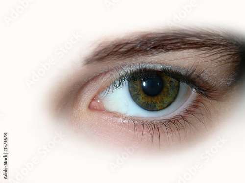 Photography yeux marron