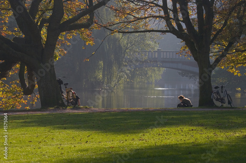 Canvas Print fall in the park