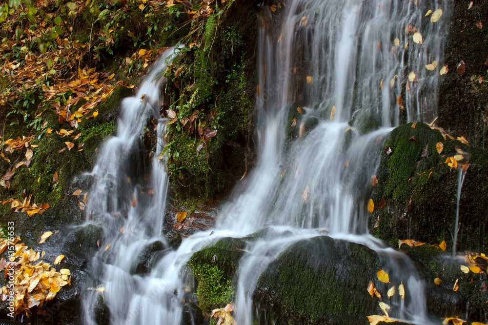 Obraz premium autumn cascade alpha