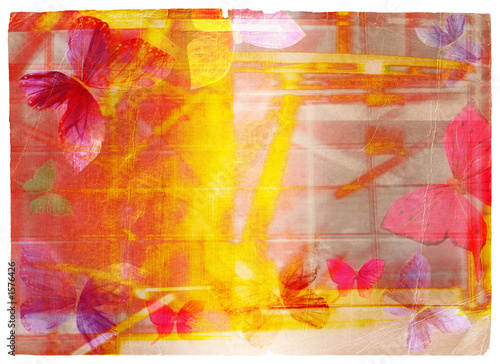 grunge background with feather butterflies