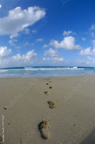 footprints in the sand