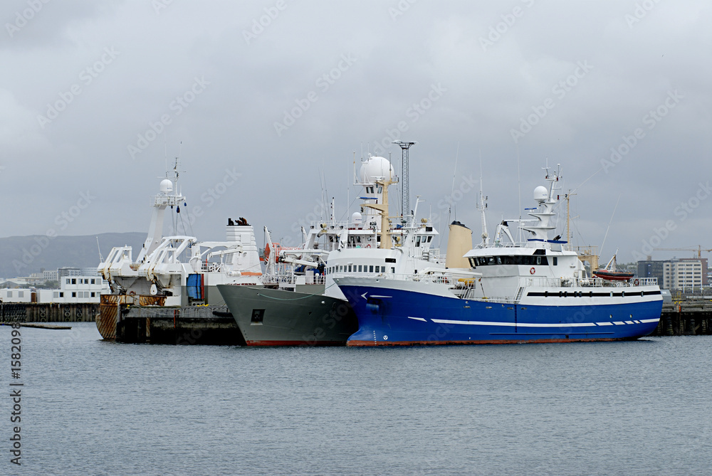 reykjavik harbor