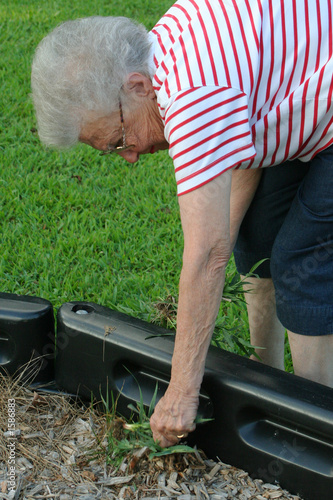 community service grandma 3