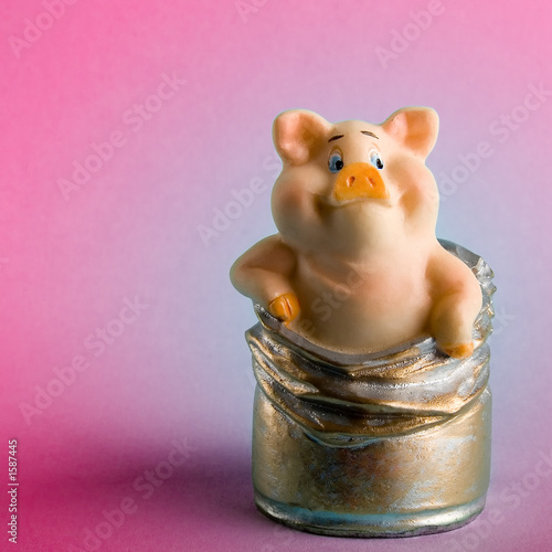 toy a pig