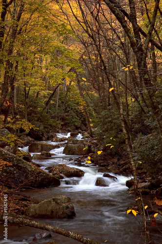 Fototapeta Naklejka Na Ścianę i Meble -  autumn forest cascade