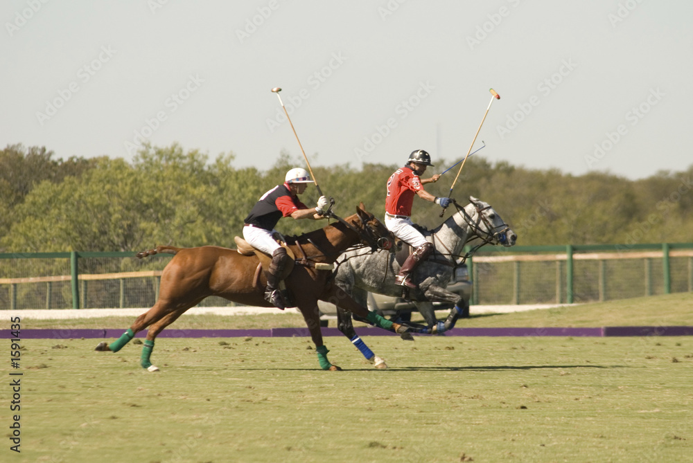 polo match