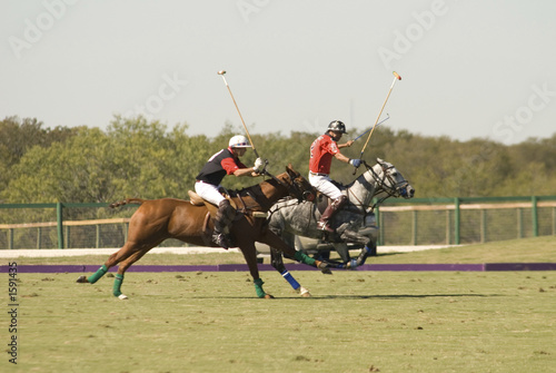 polo match