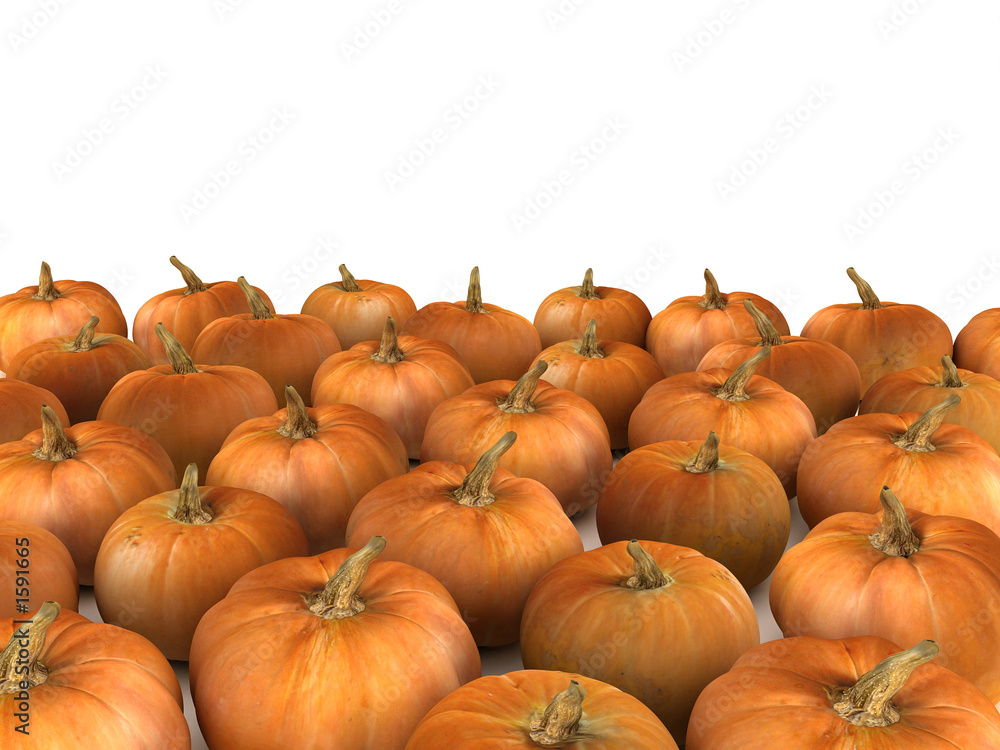 pumpkins on white background pumpkins on white background